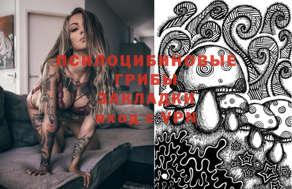 прущие крисы Михайлов