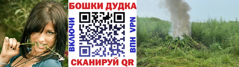 Купить  Очёр  Бошки Шишки VHQ 
